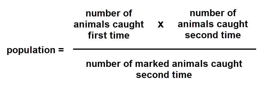 Calculation  for working out population. 